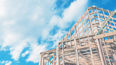 Skeletni način gradnje