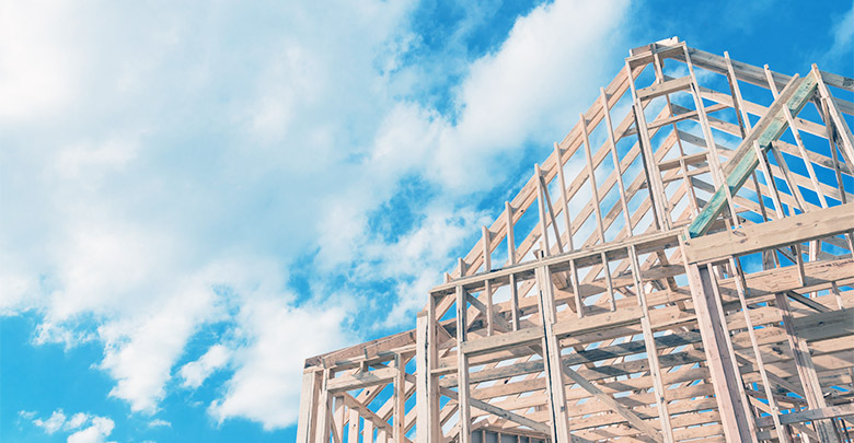 Skeletni način gradnje